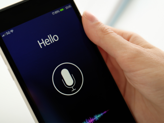 Voice search in 2024